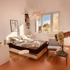 Spacious, Quiet And Bright Apartment, Close Center, Parking, Air-conditioned Apartament